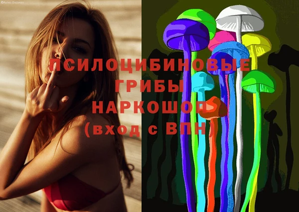 герыч Осинники