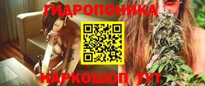 прущие крисы Канаш