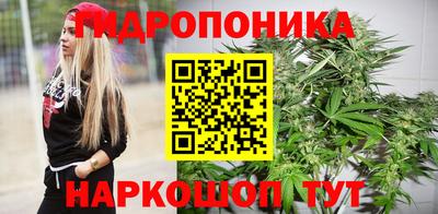 прущие крисы Канаш