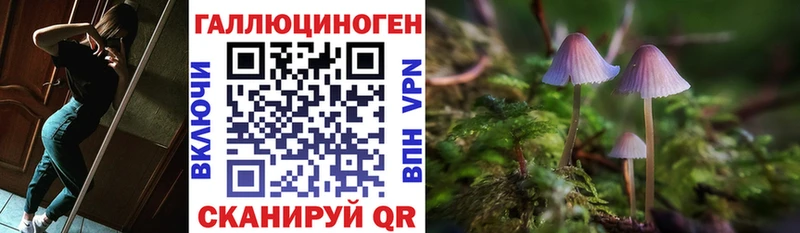 как найти закладки  Крымск  Псилоцибиновые грибы мухоморы 